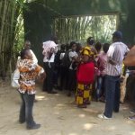 Sortie Bonobos
